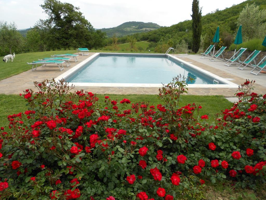 Agriturismo Erta Villa Casole dʼElsa Exterior foto