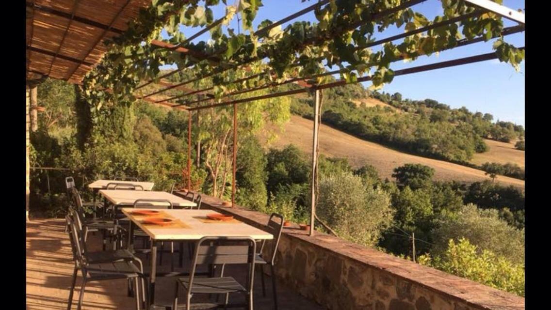 Agriturismo Erta Villa Casole dʼElsa Exterior foto