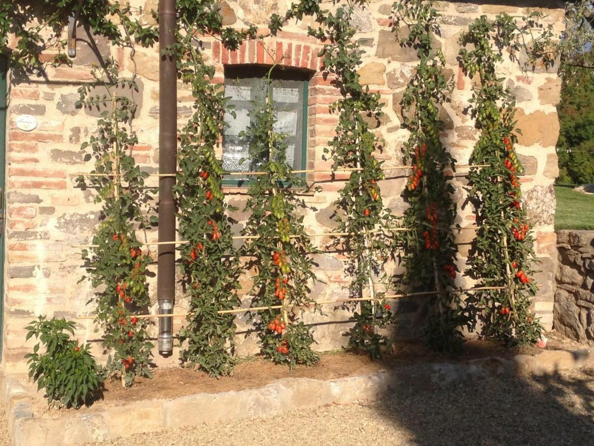 Agriturismo Erta Villa Casole dʼElsa Exterior foto