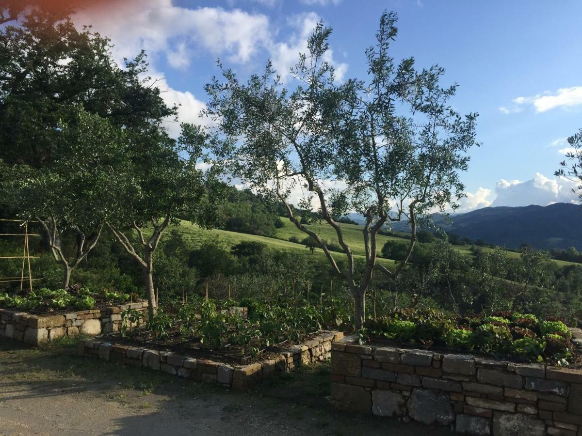 Agriturismo Erta Villa Casole dʼElsa Exterior foto
